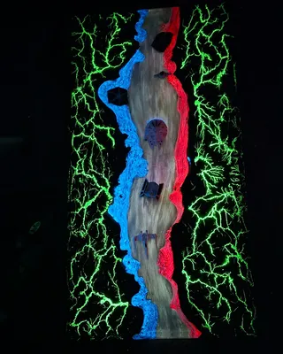 Shocks Functional Art