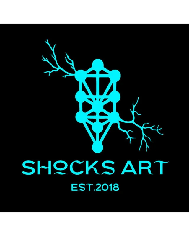 Shocks Functional Art photo