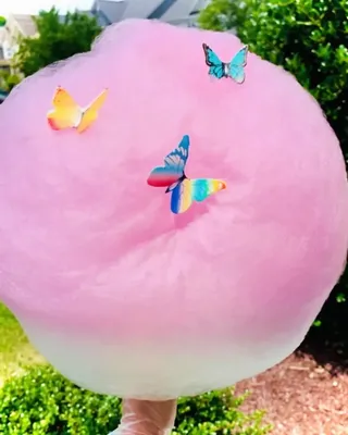Taste & See Cotton Candy